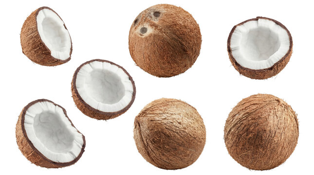 whole coconuts and halves revealing white flesh, displayed against a contrasting dark background, showcasing natural texture and tropical essence.