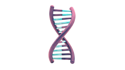 3D DNA Double Helix