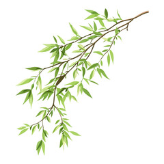 Obraz premium willow branches, plants, qingming festival, asia, festival, vector, transparent background, plant, branch, nature, herb, twig, decoration