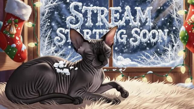 Sphynx Cat Winter Stream Overlay with 'Starting Soon' Message, Frosted Window & Christmas Decor