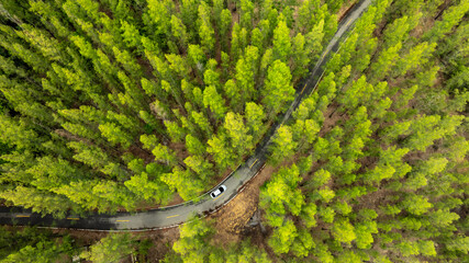 Aerial view of dark green forest road and white electric car Natural landscape and elevated roads Adventure travel and transportation and environmental protection concept	
