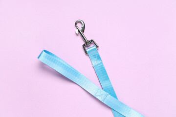 Blue dog leash on purple background