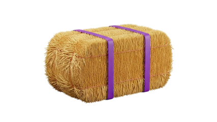 Hay bale with purple straps