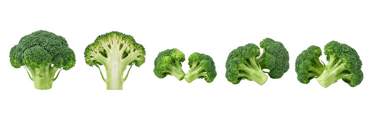 Fresh Broccoli Florets and Sliced Head Isolated on White Background