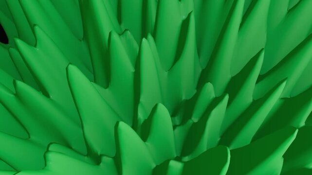 agave plant texture closeup green.