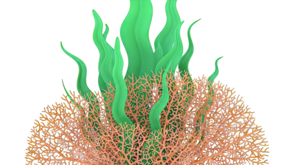 Coral Reef Ecosystem with Seaweed and Orange Coral