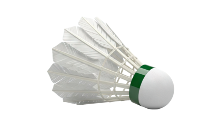 Badminton Shuttlecock with Green Band