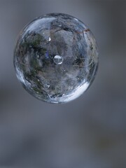 Transparent glass orb containing natural elements and water droplets