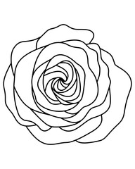 Minimal rose flower line art graphics