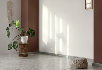 View of big room with Monstera plant and pouf