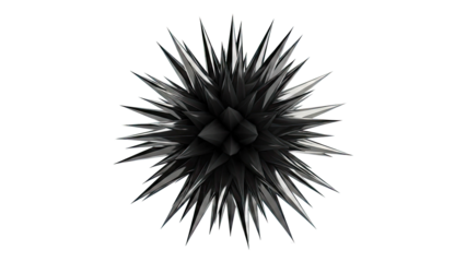 Black Starburst 3D Render