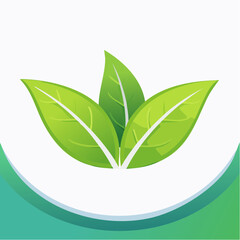 Three vibrant green leaves graphic design on white background