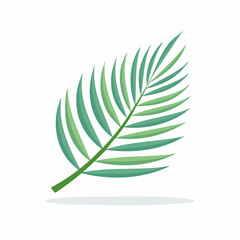 Isolated green palm leaf illustration on white background for design