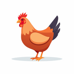 Cartoon chicken illustration isolated on white background for diverse applications