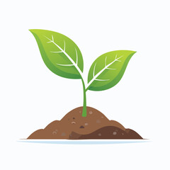 Young plant with green leaves growing in soil isolated on white background