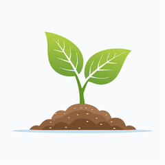 Young green plant growing in soil concept of growth and new life