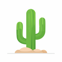 Vibrant green cactus illustration on white background isolated for design