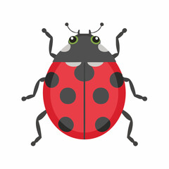 Vibrant red ladybug illustration on white background isolated insect concept