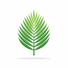 Green palm leaf vector illustration on white background isolated design