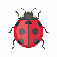 Vibrant red ladybug isolated on white insect vector illustration
