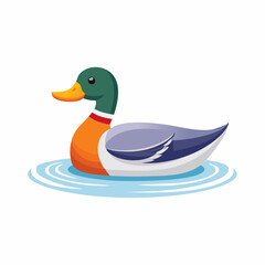 Colorful illustration of a duck swimming on water against a white background