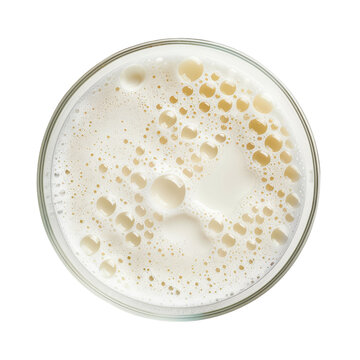 Frothy beer head golden bubbles and creamy foam in a glass from above isolated on white background