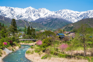 大出公園　春　白馬村