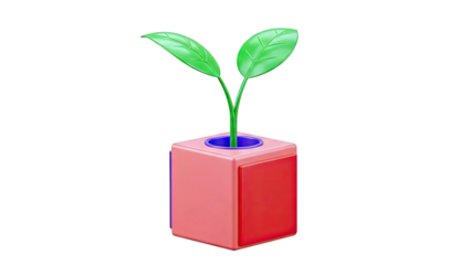 3D Render of a Small Green Plant in a Red and Blue Cube Pot