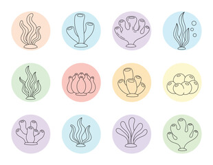 Aquatic Plants and Coral Outline Icons Vector Set

