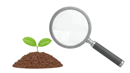 Seedling under Magnifying Glass