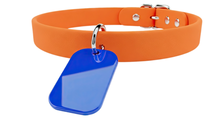 Orange Dog Collar with Blue Tag