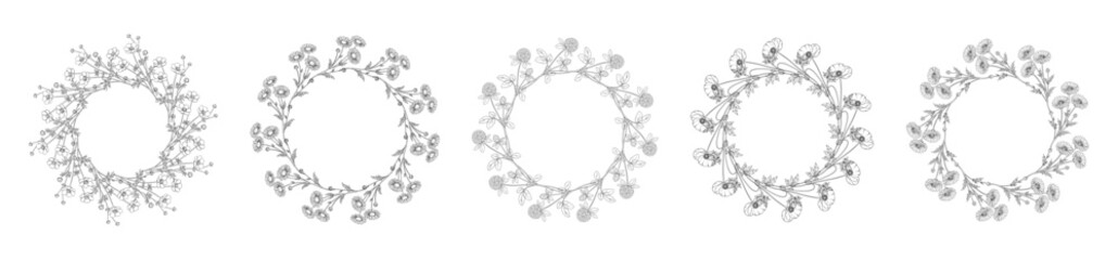 Hand Drawn Wild Flowers Floral Wreaths. Botanical Line Art Frames. Camomile, Poppy, Cornflower, Clover, Buttercup