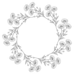 Hand Drawn Cornflower Floral Wreath. Botanical Line Art Frame