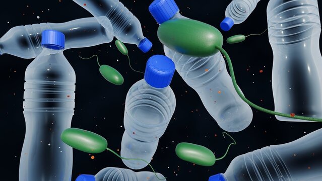 A 3d rendering of Ideonella sakaiensis can break down polyethylene terephthalate (PET) the material used to make single-use water bottles and use it as its primary source of energy and carbon.