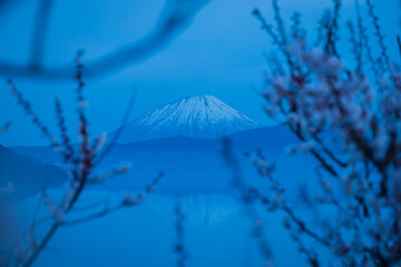 北海道壮瞥町2025春-早朝の壮瞥公園-17