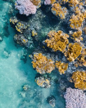 Underwater ocean scene with sunbeams penetrating through water column, vibrant coral in neon mint, sofi lilac, and shadow black tones as background