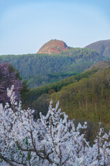 北海道壮瞥町2025春-朝の壮瞥公園からみえる有珠山-