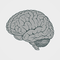 Illustration of a brain in black and white line art