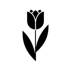 Obraz premium Minimalist black and white tulip with leaves flower