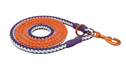 Tri-Color Braided Dog Leash with Copper Clasp and Purple Handle