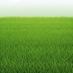 Vibrant Green Field Under Clear Blue Sky Landscape