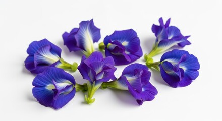 Blue Flowers on White.