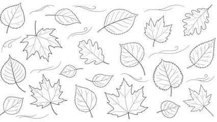 Delicate line art featuring a variety of autumnal leaves and subtle wind strokes creating a