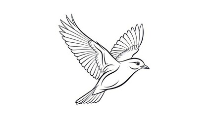 Obraz premium Elegant outline of a bird in full flight with wings extended and details on a white background