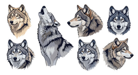 Fototapeta premium Set of detailed wolf head portraits showing various expressions, including howling, snarling, and calm, for mascots or emblems.