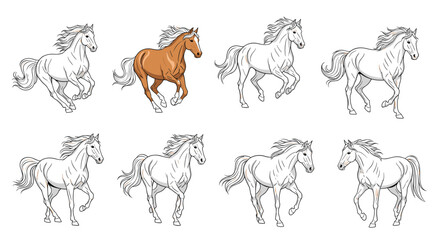 Obraz premium Set of running and trotting horses with one colored brown and the others in a black and white line art or coloring book style.