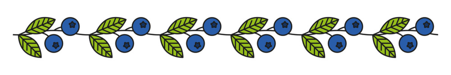 Garden blueberry plant leaves line divider or separator. Wild fruit thin line divider, ripe farm blueberry linear vector frame border. Forest berry outline separator line or underline spacer © Vector Tradition