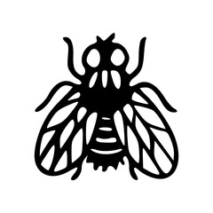 hand drawn common housefly sketch for pest control design