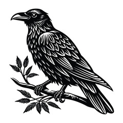 Raven Bird Illustration Black and White Detailed Wildlife Art