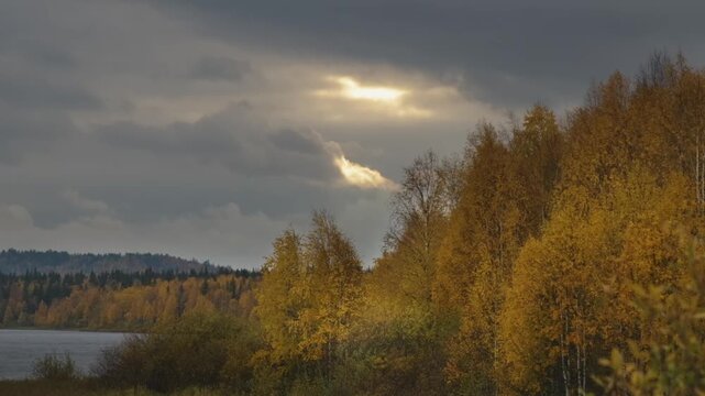 A wide shot of a stunning autumn landscape in the Southern Urals region of Russia. Bright yellow and golden foliage covers the trees along the banks of a body of water under a dramatic, cloudy sky wit